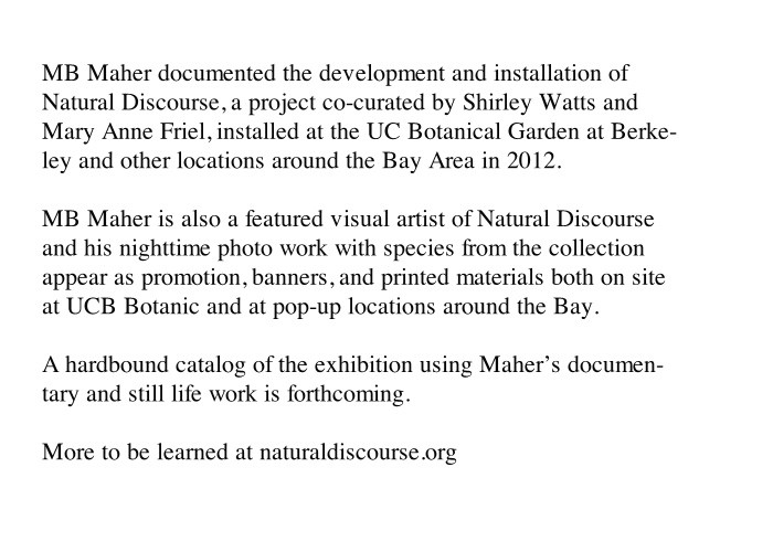 http://imap2.mbmaher.com/files/gimgs/th-4_natural.jpg